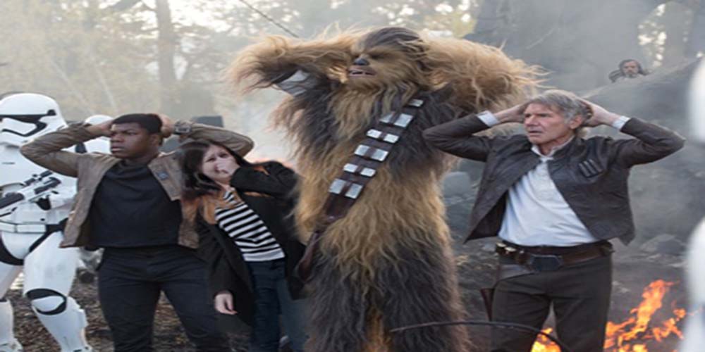 Chewie really stinks